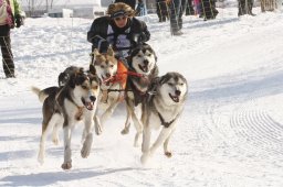 Lenk 2012 SM